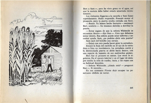 Los Gemelos Y La Isla Perdida - Laura Lee Hope - Ilustrada (Usado)