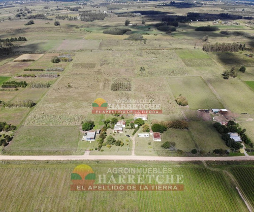Imagen 5 de 30 de Chacra 10 Has En Venta Con Construcciones En Carrasco Del Sauce,