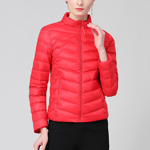 Chaqueta Moderna Para Mujer Con Cuello Alto Y Cremallera Par