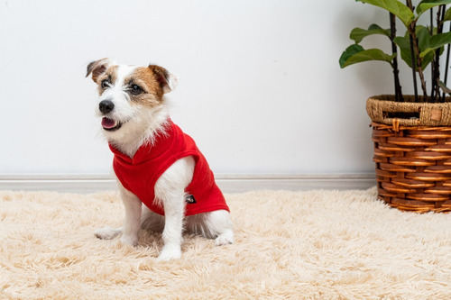 Roupa De Cachorro Roupa Pet Shih Tzu Lhasa Apso Spitz - M Cor Rosa M - Nº 10