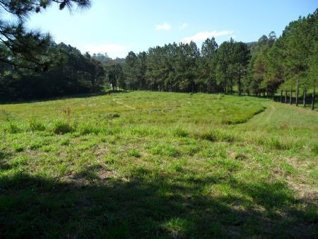 Imagem 12 de 15 de Venda Residential / Land Lot Serra Da Cantareira Mairipor - 3948