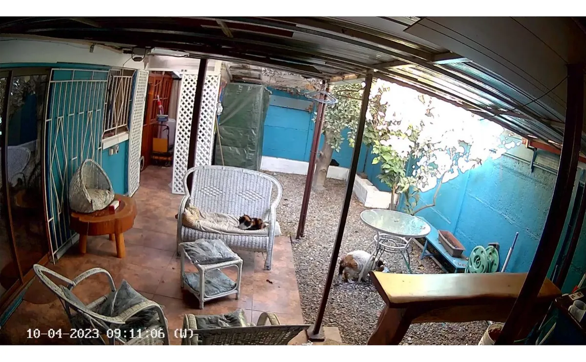 Imagen 4 de 30 de Vende Excelente Propiedad En Cerrillos, En Condominio - Muni