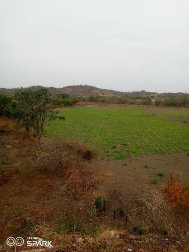 Imagen 7 de 28 de Finca En Venta En El Estado Guarico