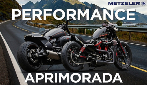 Par Pneu 130/90b16 150/80b16 Harley Forty Eight Cruisetec