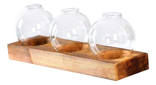 Terrário De Propagação, Criativo Com Base De Madeira Vaso