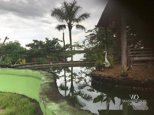 Imagem 5 de 30 de Fazenda Com 4 Dormitórios À Venda, 2460000 M² Por R$ 3.200.000,00 - Itacoatiara - Itacoatiara/am - Fa0001