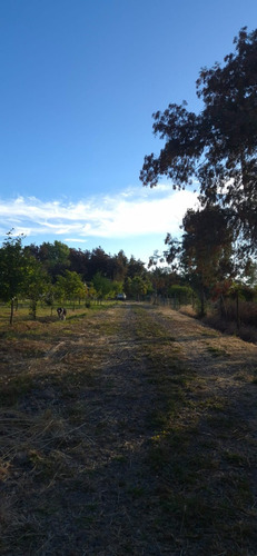 Parcela En Venta, Pelarco, Sector Lo Patricio