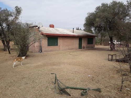 Imagen 11 de 16 de Campo En San Pedro Traslasierras. 4 Has Casa Y Galpon