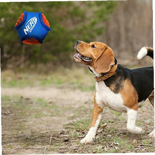 Nerf Dog Force Grip Hex Ball Juguete Para Perro, Ligero