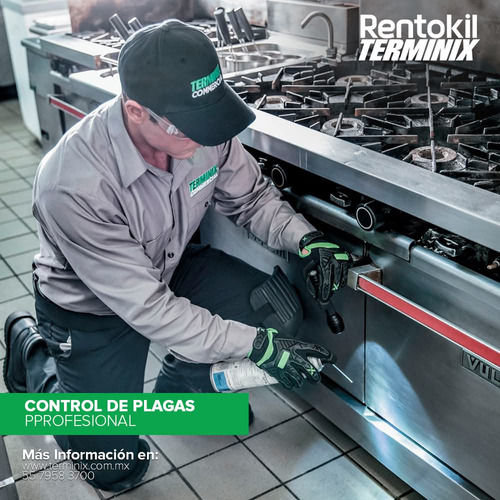 Rentokil-terminix Control De Plagas