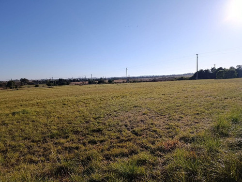 Terrenos En Libertador San Martín - Puiggari