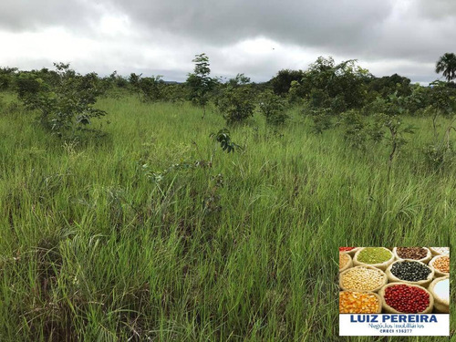 Imagem 13 de 15 de Fazenda À Venda Em Recursolândia - Ms - De 1.041 Alqueirões - 1648