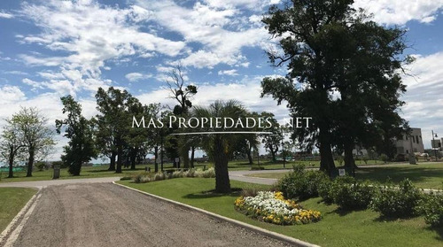 Imagen 5 de 15 de Lote A La Laguna En San Lucas Canning