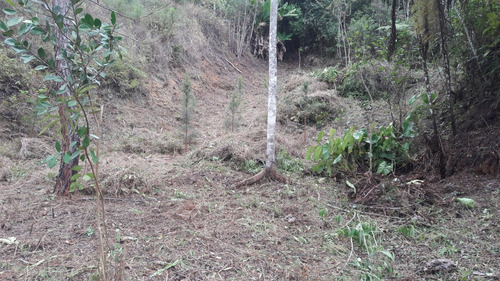 Terreno Paineiras, Lumiar , Nova Friburgo