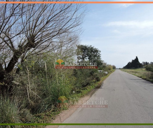 Imagen 14 de 18 de Chacra 3 Has En Venta, Melilla, Cerca De La Uam