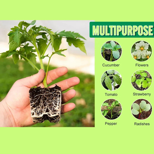 . Bandeja De Inicio De Plantas Con Kit De 5 Piezas Regulares