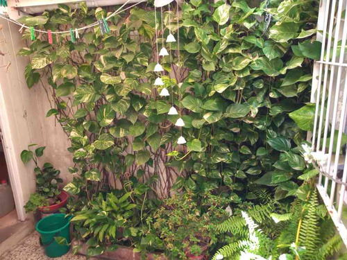 Casa Para 2 Familias En Venta En Bernal Centro