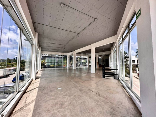 Local Comercial En Renta En Av.huayacan En Cancún