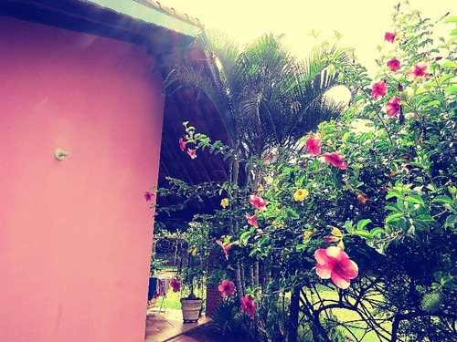 Imagem 3 de 30 de Chacara 20.000 M2 Quadra De Tenis , Pomar, Lago Com Peixes - Ch00242 - 2446285