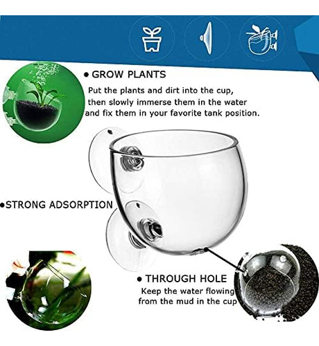 Tfwadmx - Soporte Para Plantas De Acuario, Maceta Para Decor