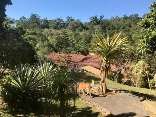 Imagem 14 de 14 de Sítio Em Pedro De Toledo, No Vale Do Ribeira Ref: 7721
