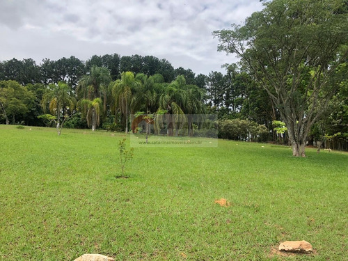 Imagem 3 de 8 de ***belo Lote Á 600 Metros Do Asfalto***