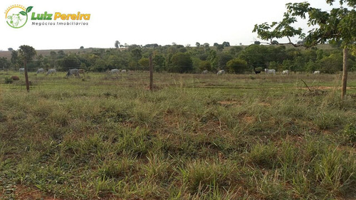 Imagem 2 de 14 de Fazenda Á Venda Em Rio Verde - Ms - 4.200 Hectares (dupla Aptidão) - 2167