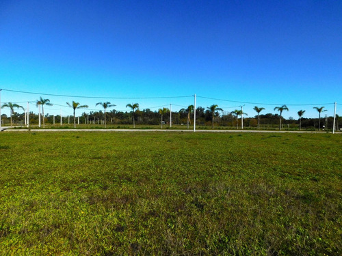 Venta Lote En El Lazo En Exaltacion De La Cruz