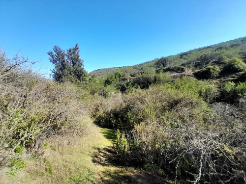 Visite 3 Opciones De Parcelas En Los Laureles (171106)