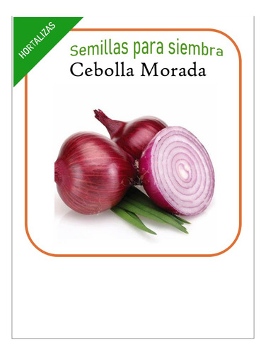 Semillas De Cebolla Morada (110 Sem)