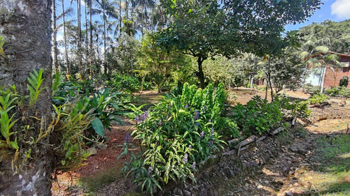 Linda Chácara Na Estrada Bonita | Pirabeiraba | 18.767 M² - Sa01814 - 69239088