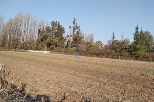 Imagen 5 de 12 de Parcela Los Almendros Santa Luisa De Chicureo