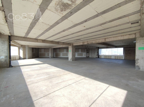 Renta - Oficina - Diamante Toreo - 2071 M2 - Piso 9