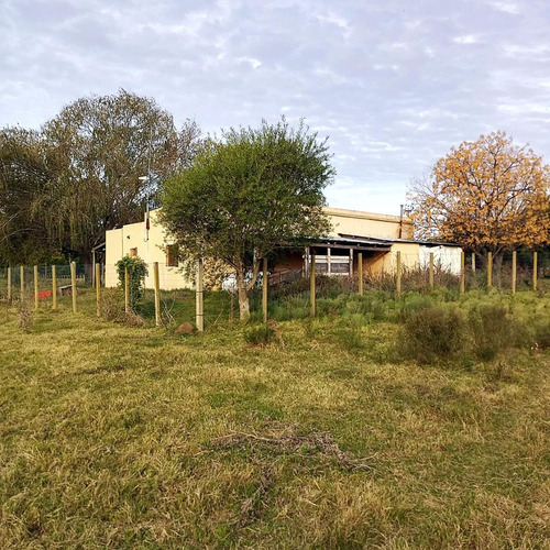 Imagen 11 de 16 de Venta Chacra De 7 Ha. En Zona De Gran Potencial