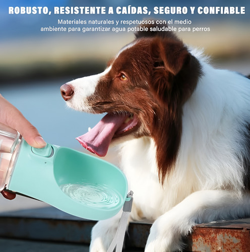 Bebedero Portátil Para Perros.