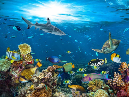 Papel De Parede Adesivo Decorativo Fundo Aquário Peixes Aq04