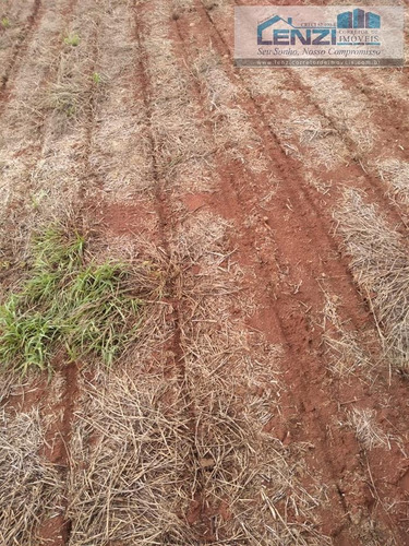 Imagem 6 de 29 de Fazendas À Venda Em Cacu/go - Compre O Seu Fazendas Aqui! - 1479755