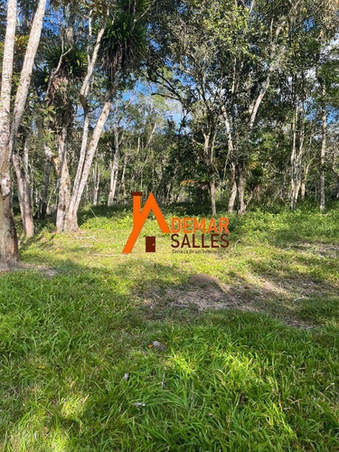 Imagem 24 de 30 de Chacara - Ch00121 - 70818140
