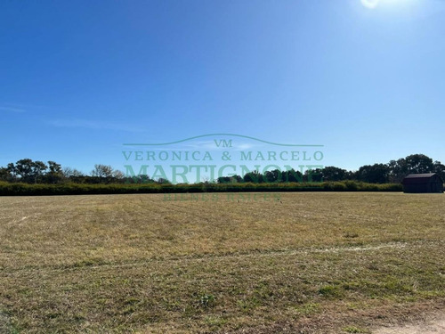 Imagen 3 de 21 de Terreno De 3600m2 En Venta En La Ranita Club De Campo