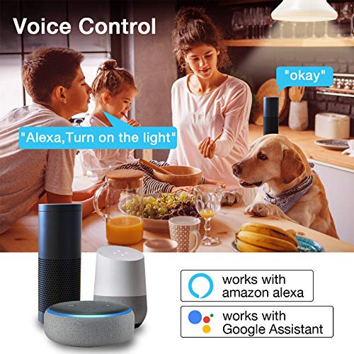 Bombillas Led Inteligentes Daybetter, Rgbcw Wi-fi,