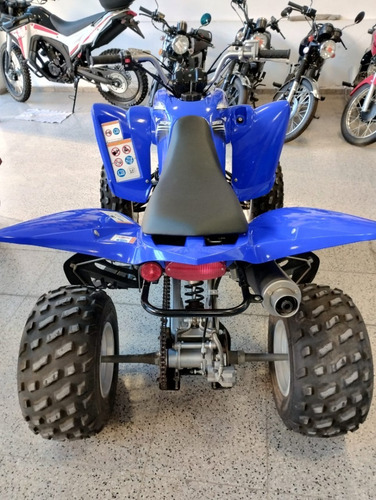 Imagen 9 de 10 de Yamaha Yfm 350r