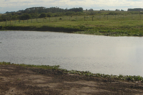 Chacra En Punta Del Este- Ref: 37562