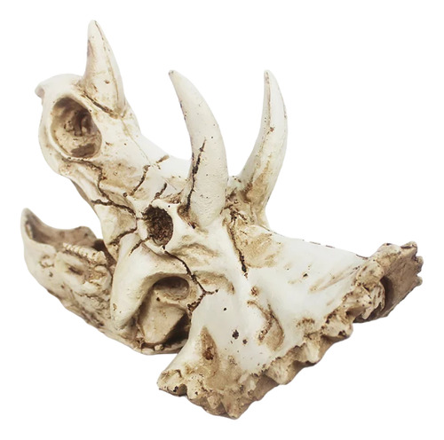 Nomoy Pet Ns-114 Crânio Triceratops 16x8x11cm Decorativo