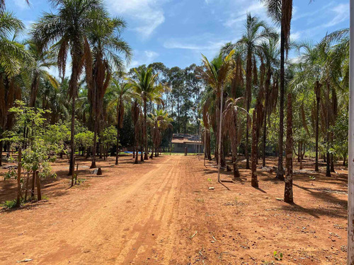 Vende-se Cessão De Direitos Chácara De 10.000 M².
