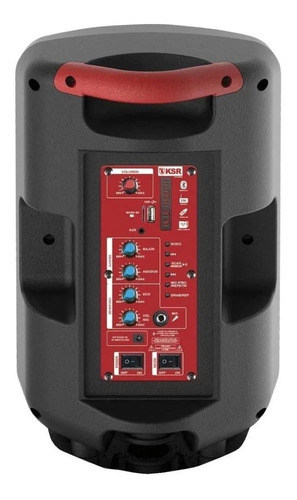 Kaiser Bafle Recargable Profesional 20w Bluetooth Micrófono