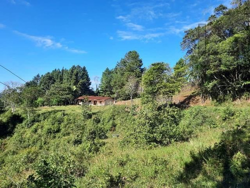 Cod 5569 -sitio Maravilhoso Em Ibiúna!! - 5569