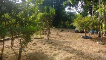 Chácara Em Itanhaém Lado Serra Com 2 Dorm 6821
