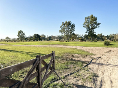 Terreno En La Reserva, Barrio De Chacras
