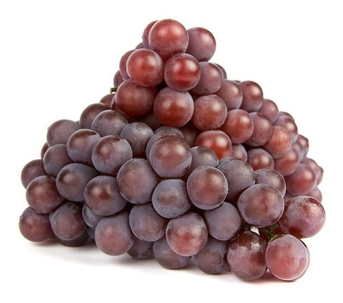 Muda De Uva Niágara Rosa Enxertada Já Produz Com 80 Cm