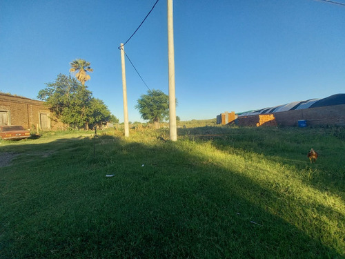 Imagen 4 de 8 de Gran Terreno En Pilar